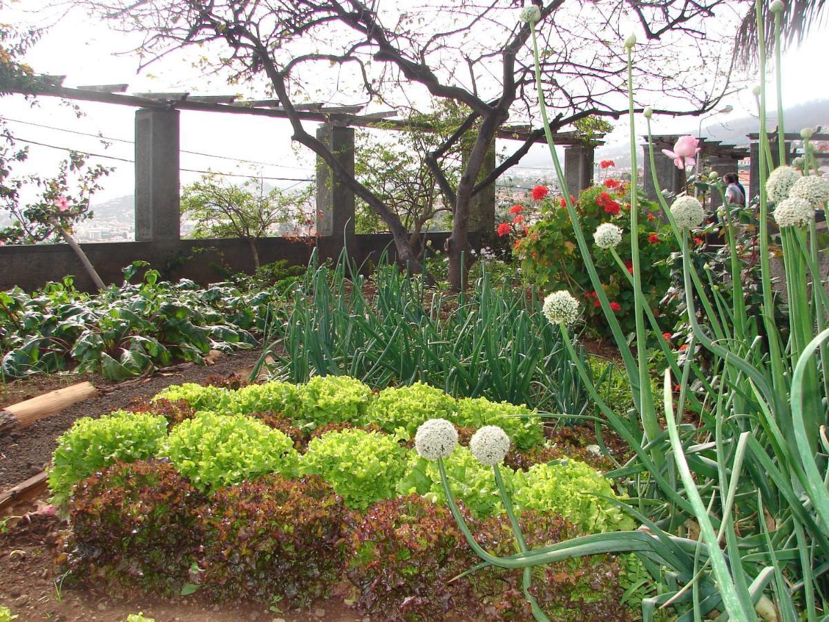 Quinta Do Bom Sucesso Apartment Funchal  Luaran gambar