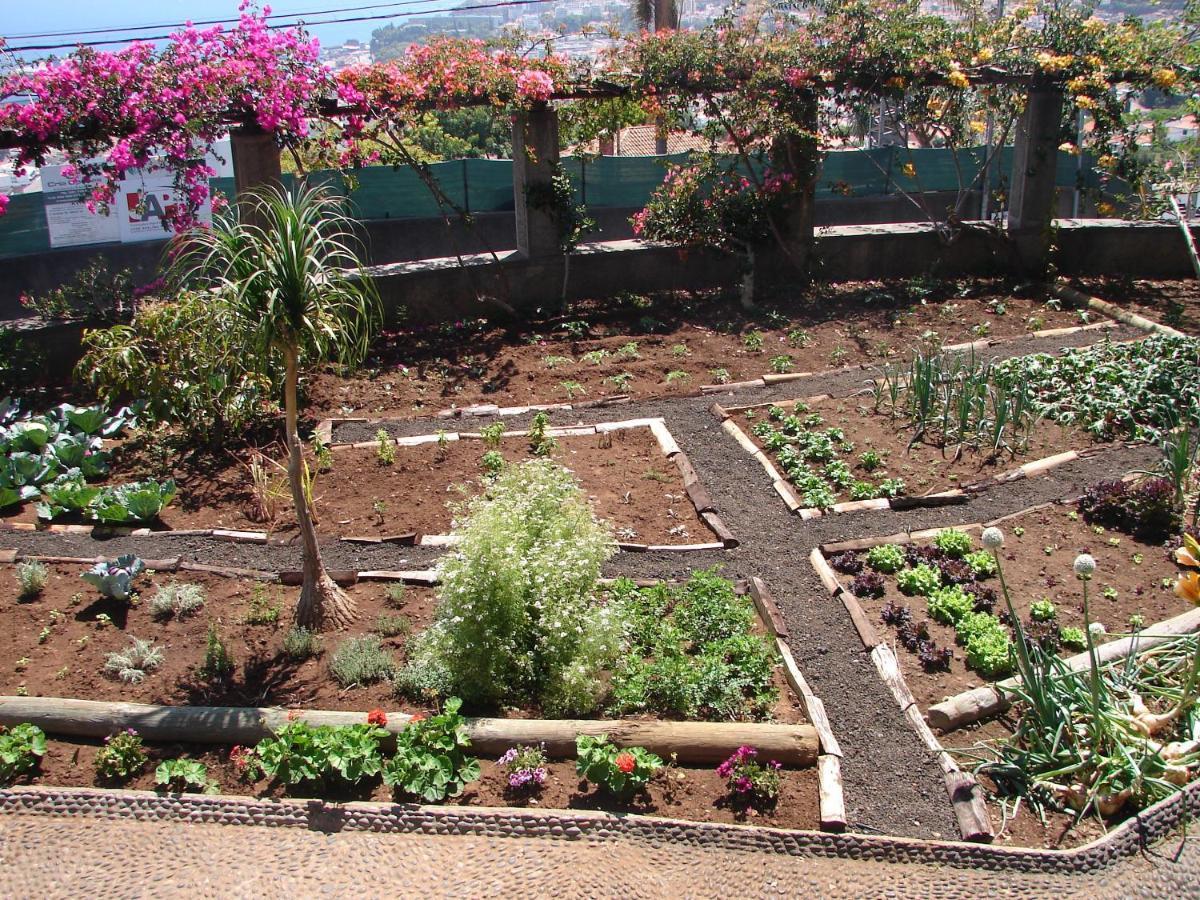 Quinta Do Bom Sucesso Apartment Funchal  Luaran gambar