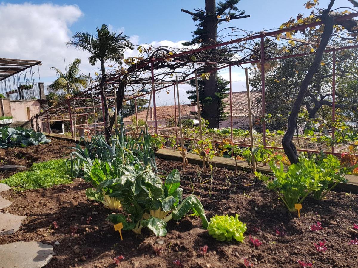 Quinta Do Bom Sucesso Apartment Funchal  Luaran gambar
